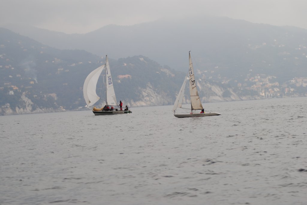 dsc_0528.jpg