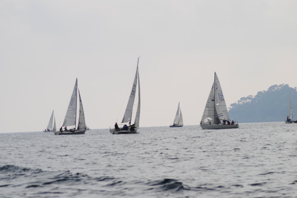 dsc_0553.jpg
