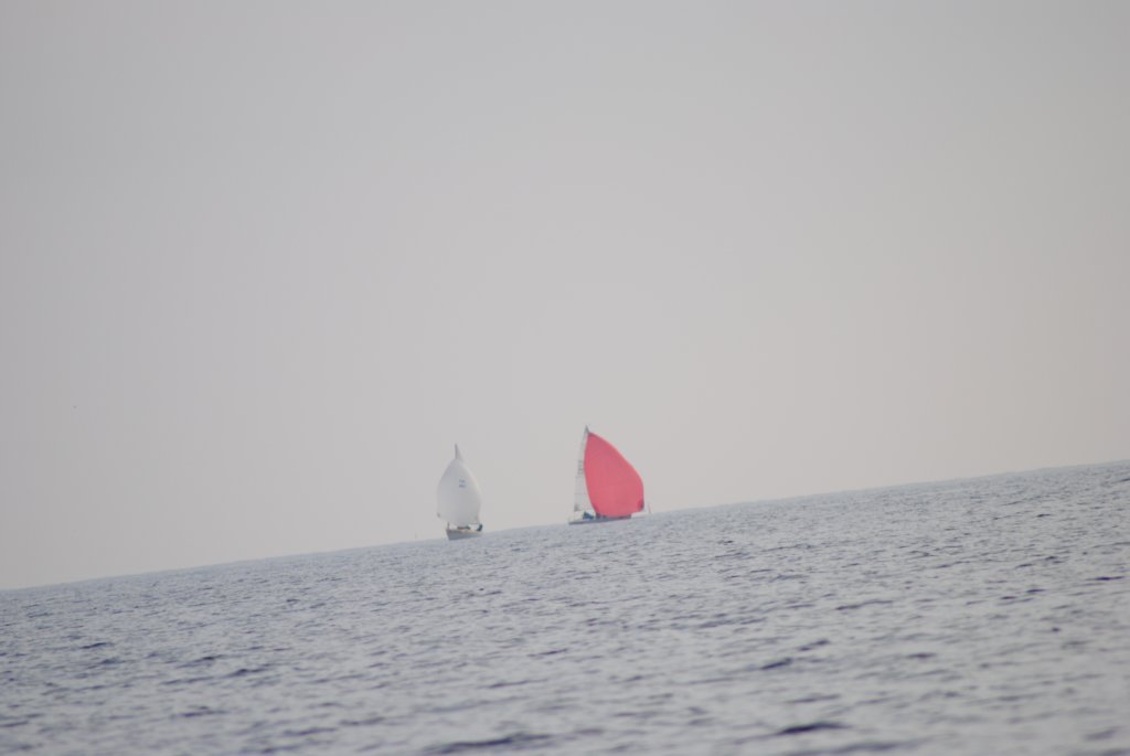 dsc_0633.jpg