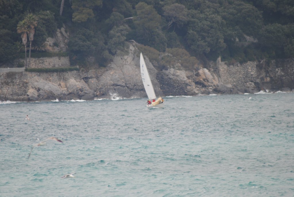 dsc_0077.jpg