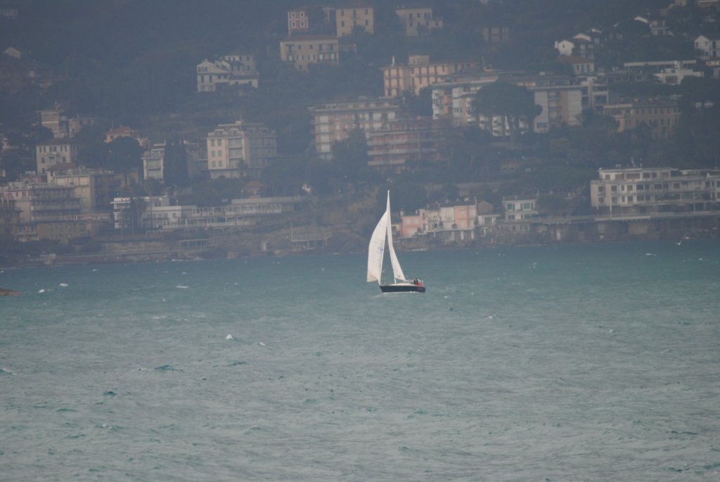 dsc_0081.jpg
