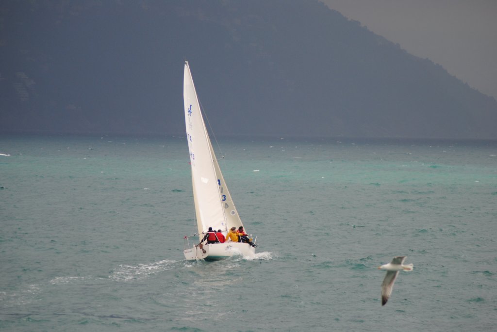 dsc_0093.jpg