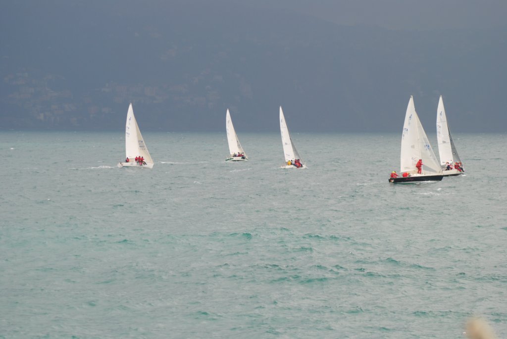 dsc_0138.jpg