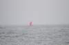 dsc_0162_small.jpg