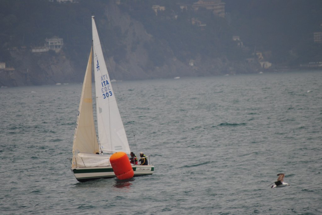 dsc_0168.jpg