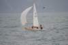 dsc_0187_small.jpg