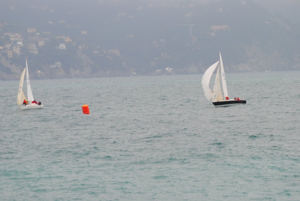 dsc_0201.jpg