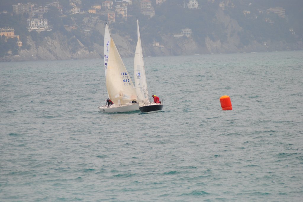 dsc_0203.jpg