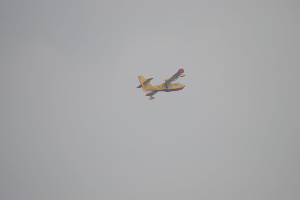 dsc_0218.jpg