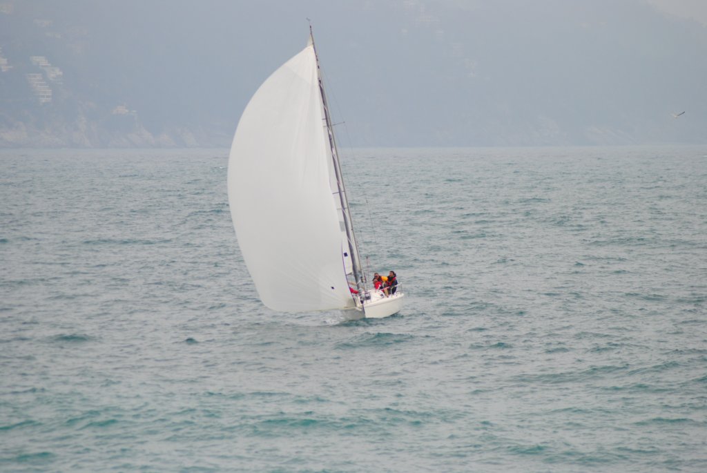 dsc_0223.jpg