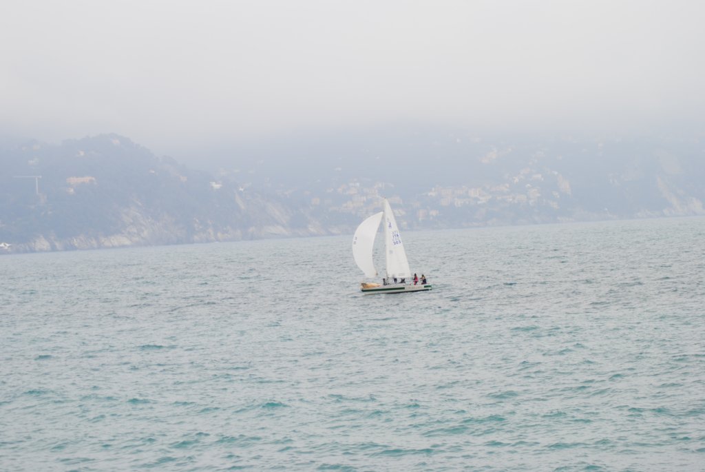 dsc_0230.jpg