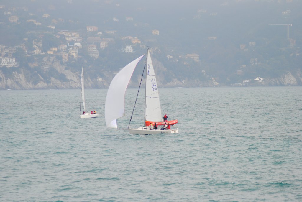 dsc_0243.jpg