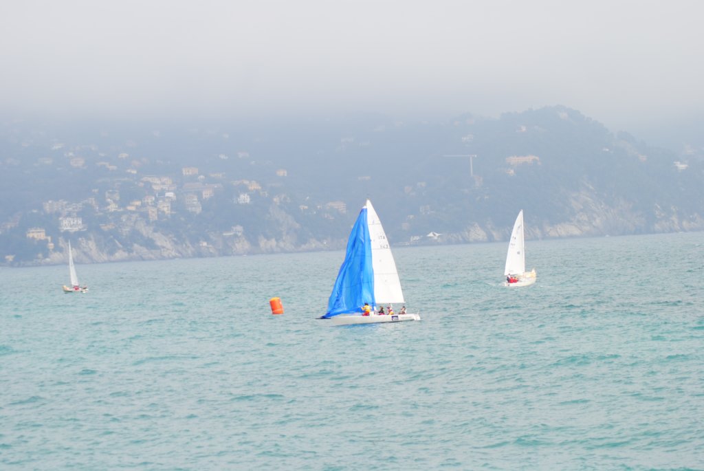 dsc_0248.jpg