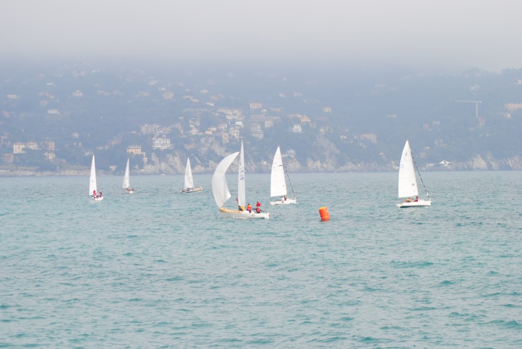 dsc_0260.jpg