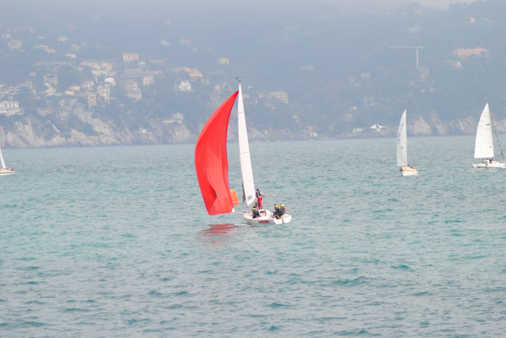 dsc_0263.jpg