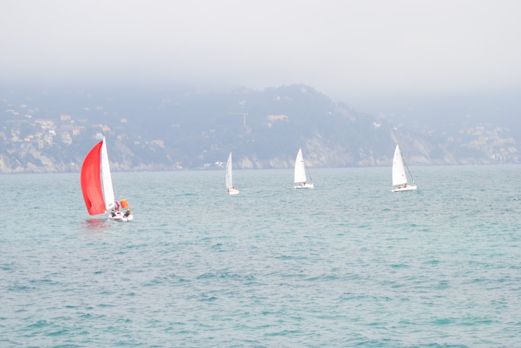 dsc_0264.jpg