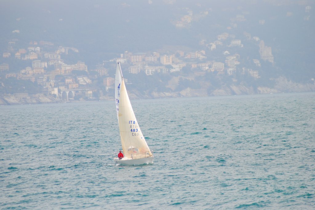 dsc_0306.jpg