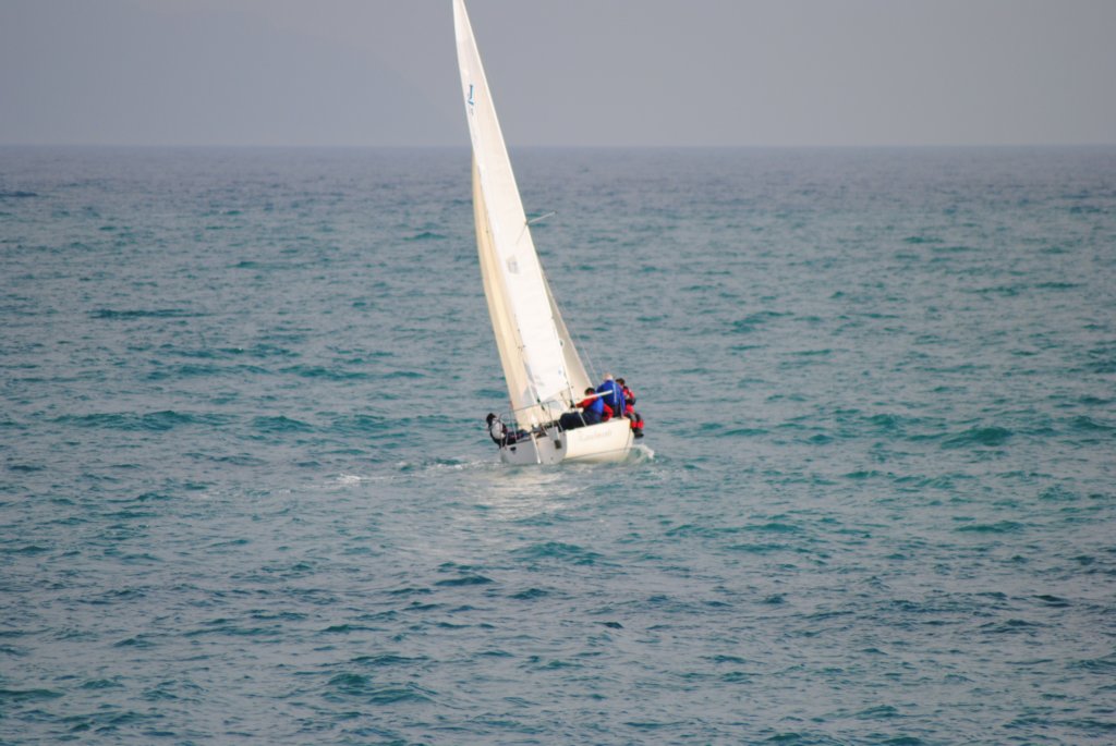 dsc_0312.jpg