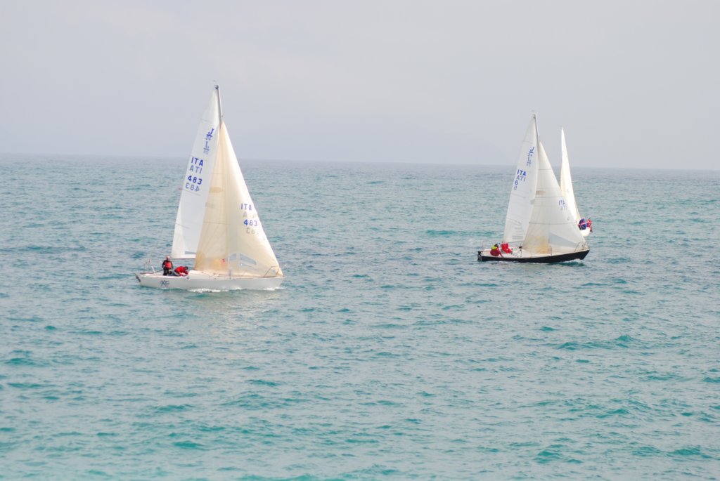 dsc_0314.jpg