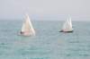 dsc_0314_small.jpg