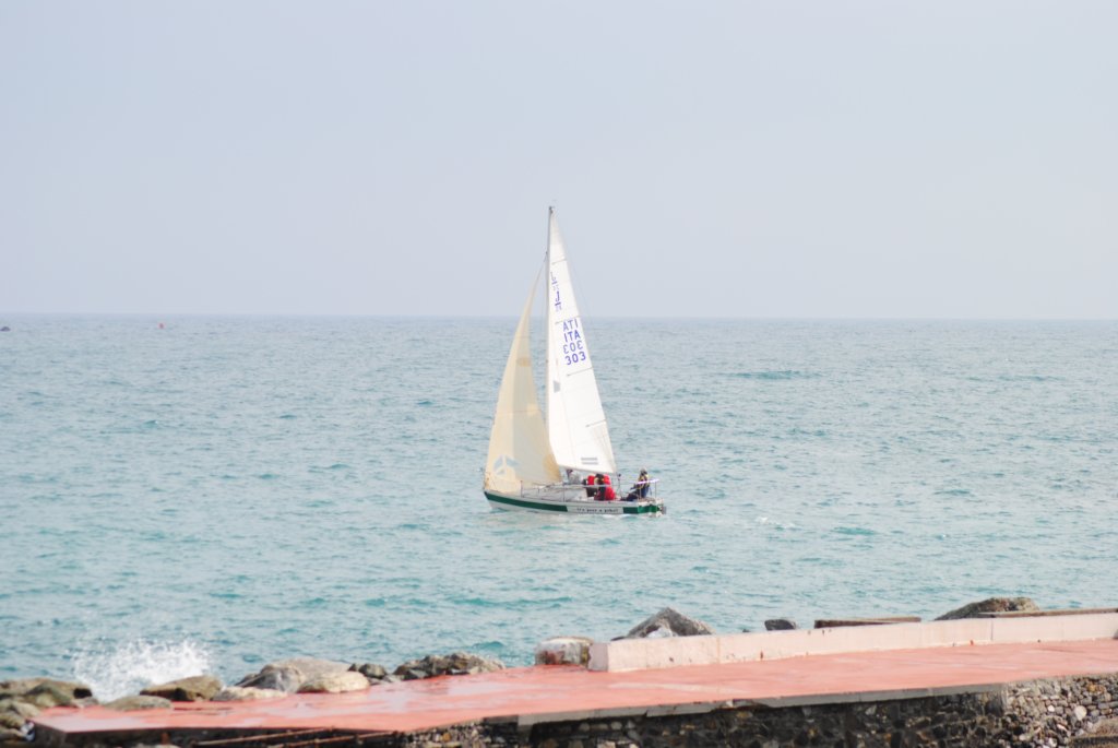 dsc_0316.jpg
