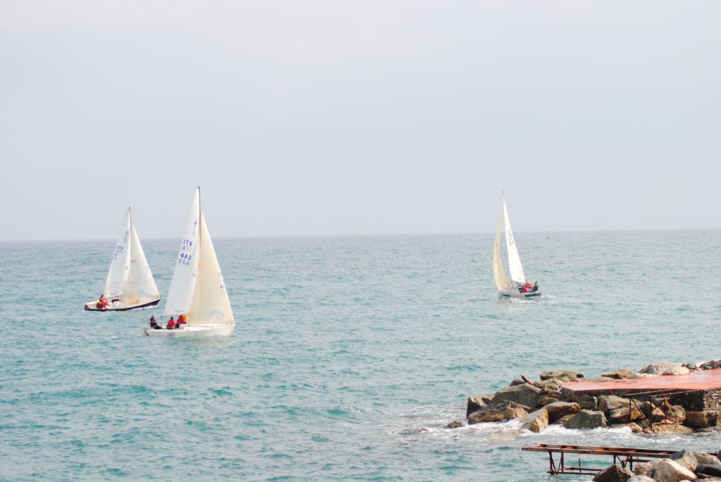 dsc_0320.jpg