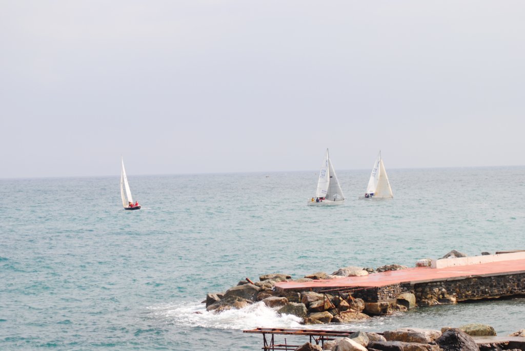 dsc_0325.jpg