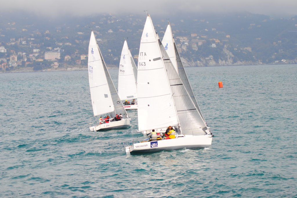 dsc_0331.jpg
