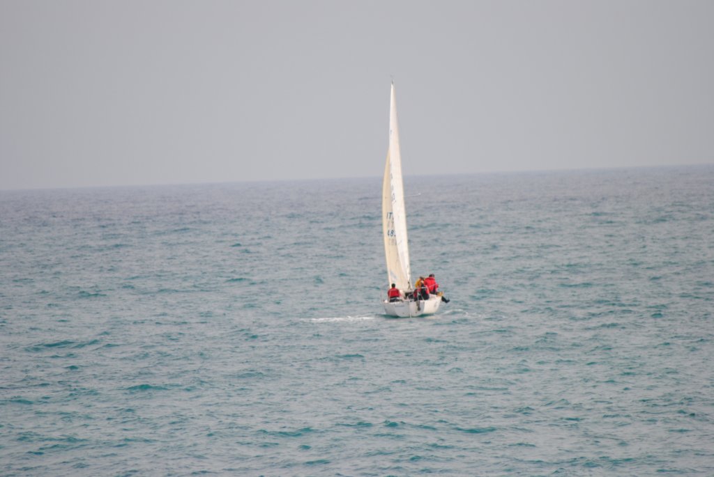 dsc_0334.jpg
