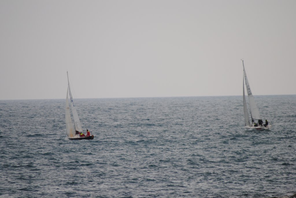 dsc_0345.jpg