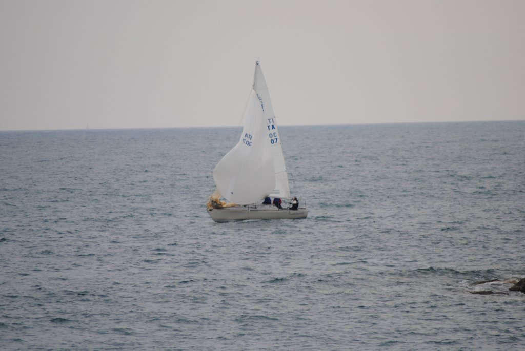 dsc_0349.jpg