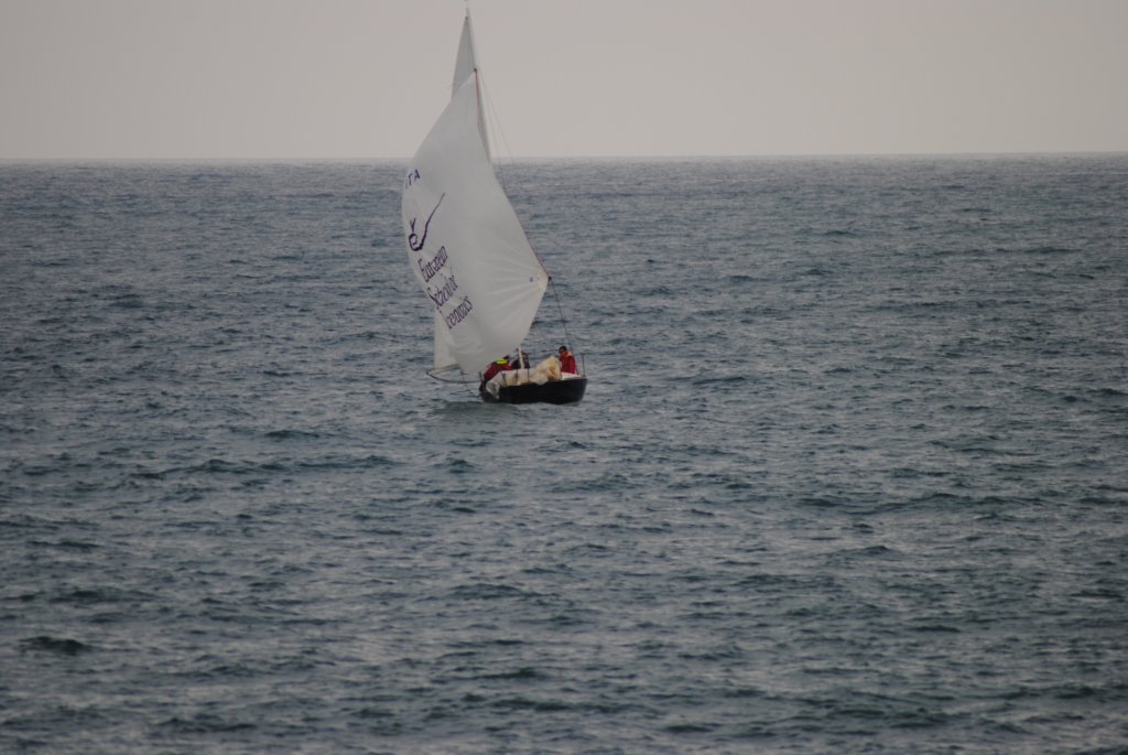 dsc_0380.jpg