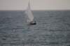 dsc_0380_small.jpg