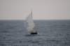dsc_0381_small.jpg
