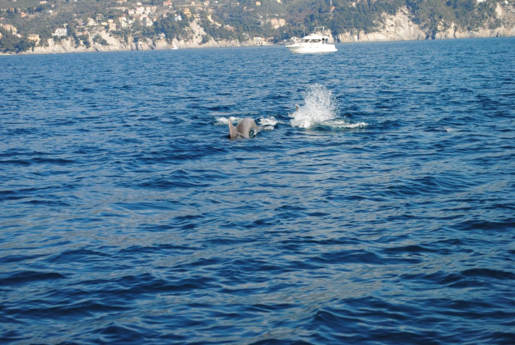 dsc_0211.jpg