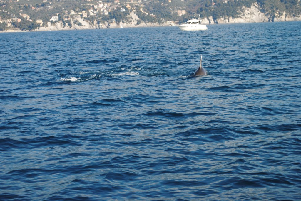 dsc_0212.jpg