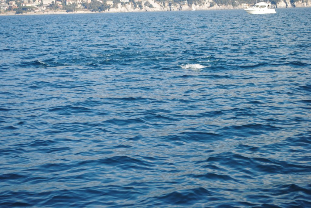 dsc_0213.jpg