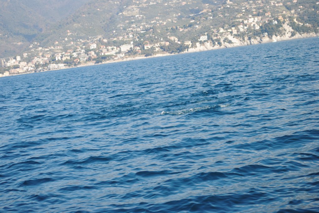 dsc_0214.jpg