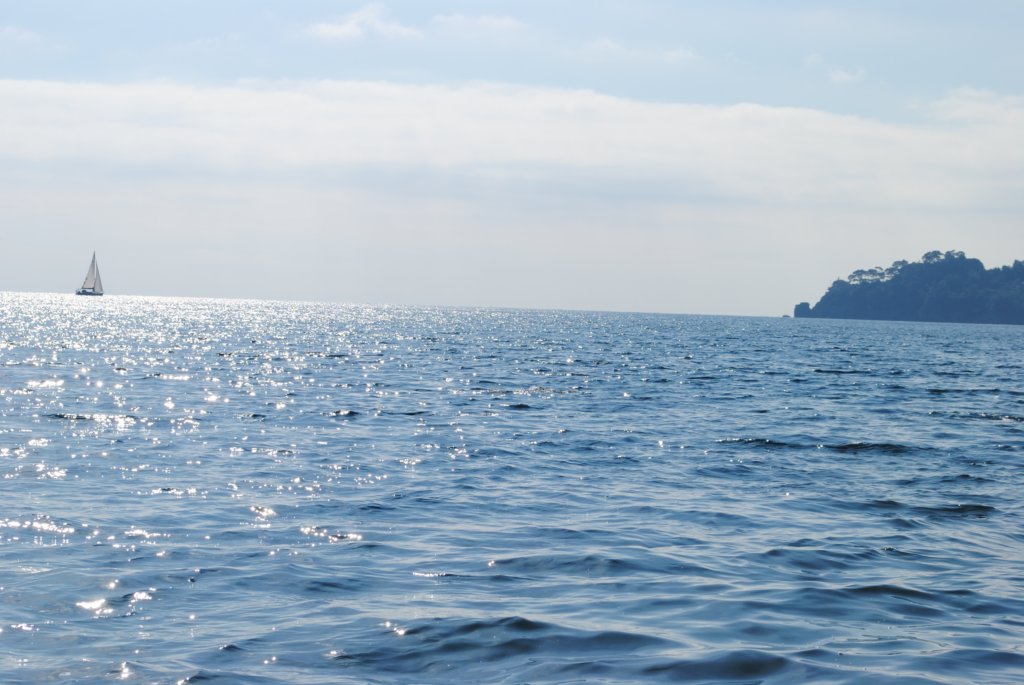 dsc_0221.jpg
