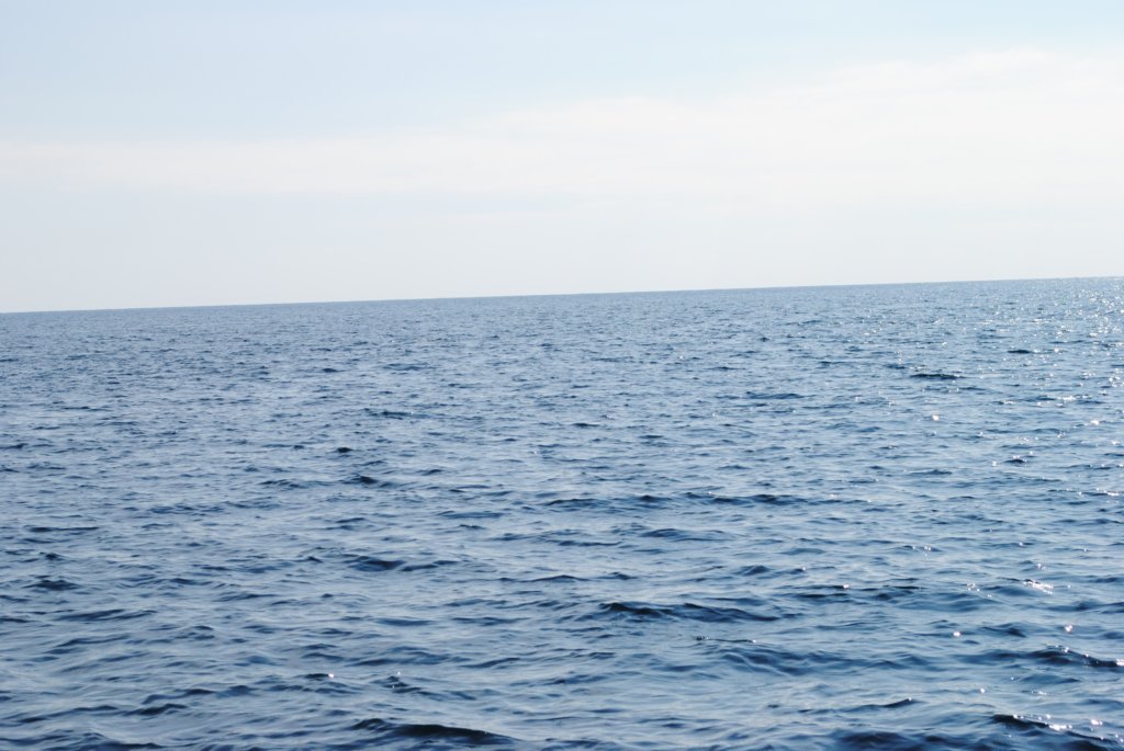 dsc_0233.jpg