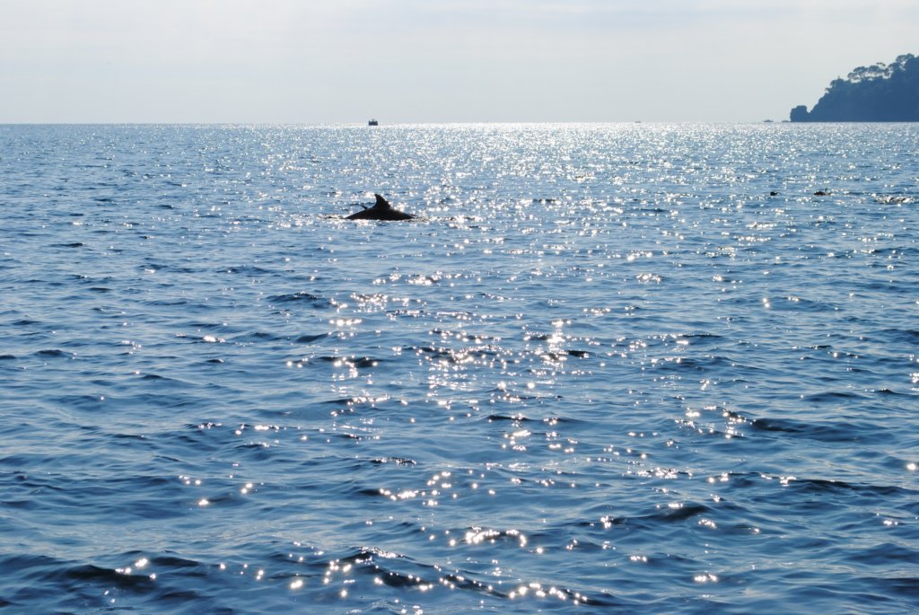 dsc_0235.jpg