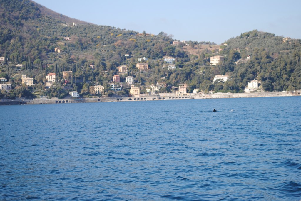 dsc_0237.jpg