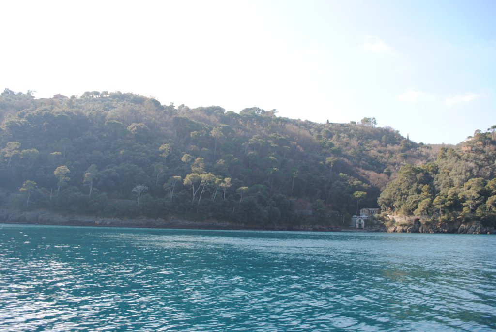 dsc_0254.jpg