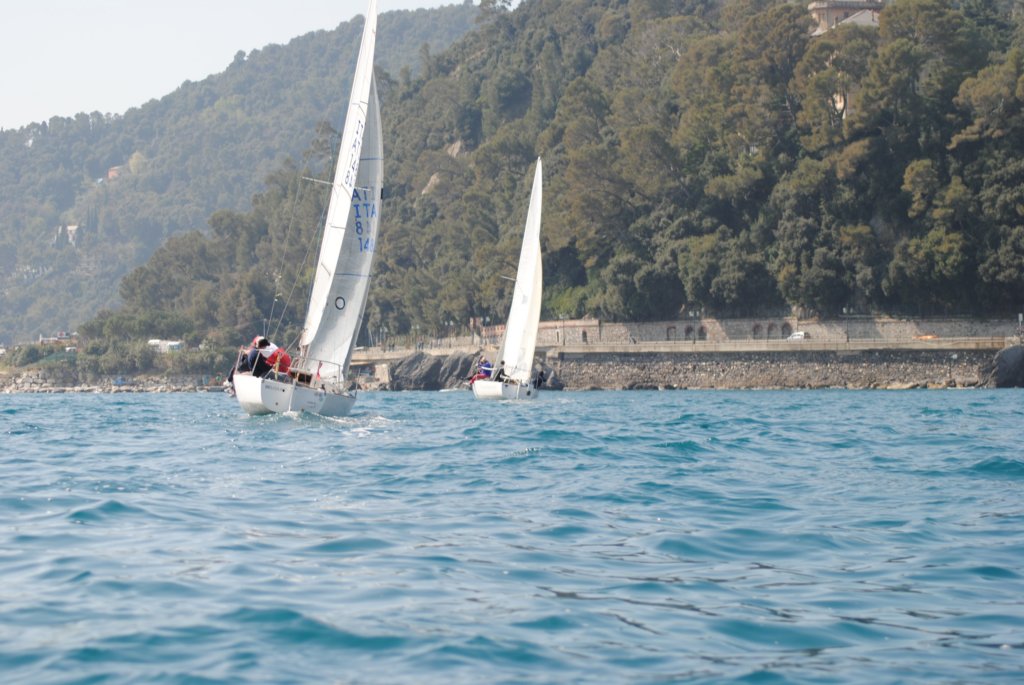 dsc_0486.jpg