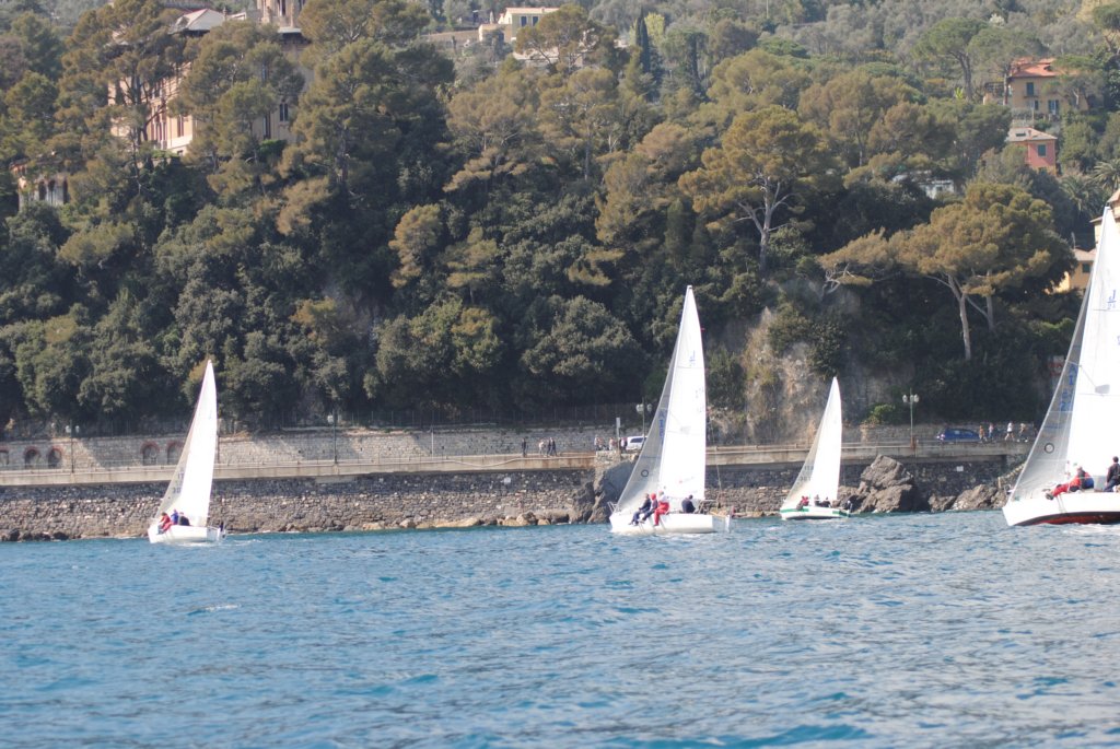 dsc_0496.jpg