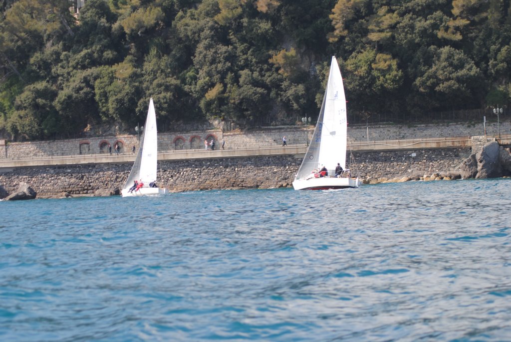 dsc_0505.jpg