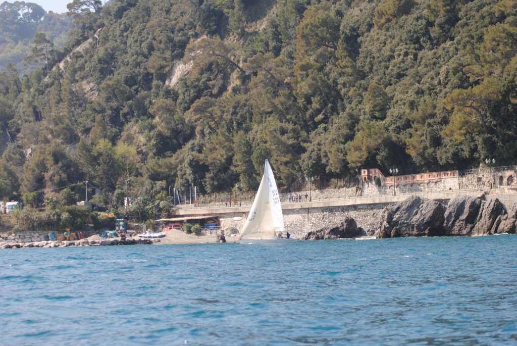dsc_0509.jpg