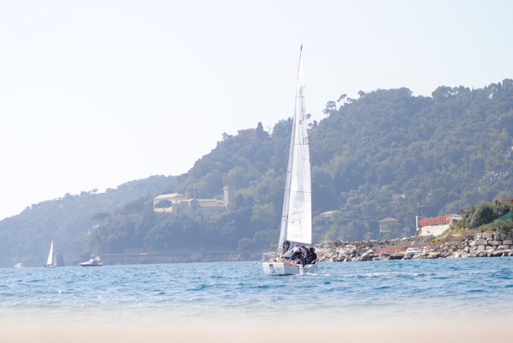 dsc_0533.jpg