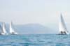 dsc_0565_small.jpg
