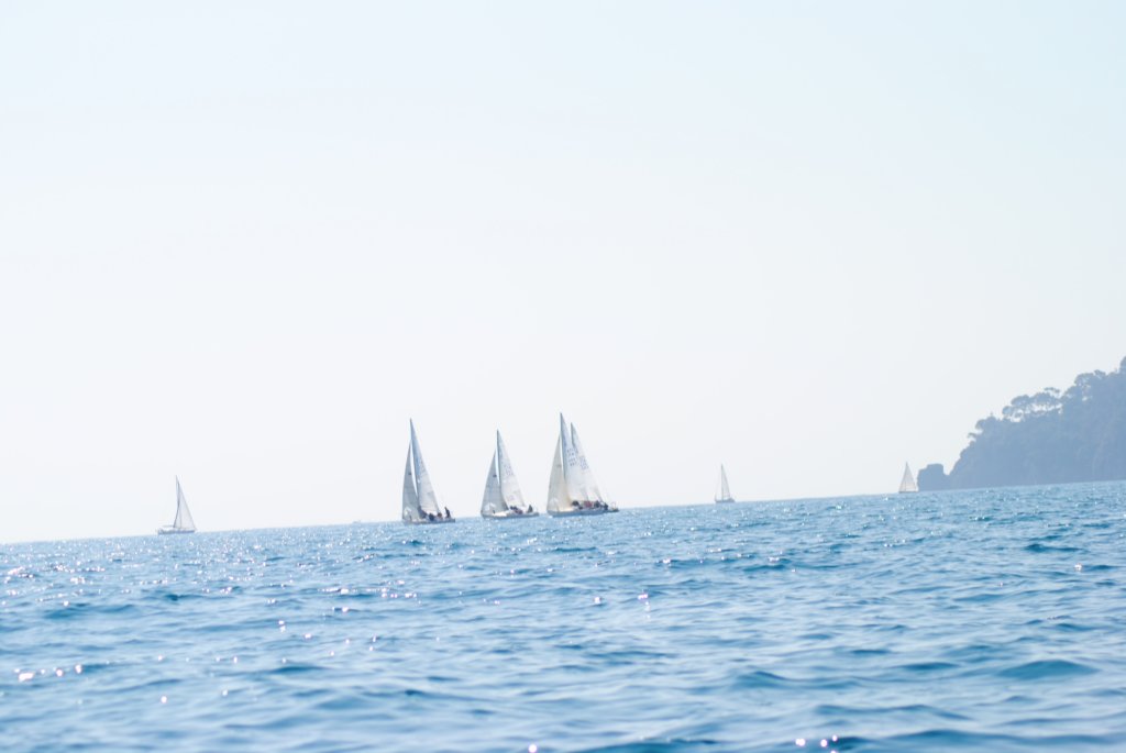 dsc_0572.jpg